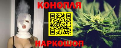 МДПВ Новодвинск