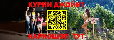 гашик Новозыбков