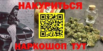 гашик Новозыбков