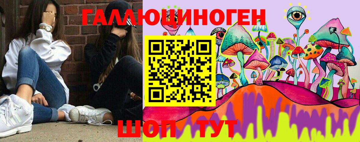 Ачинск  Галлюциногенные грибы Psilocybine cubensis  Вход с VPN 